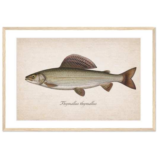 0e4807e2-ee9f-40d2-b60c-ac8d7dd594e0