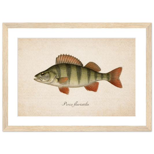 1539a8f3-7b5b-4635-a1f1-405b3ed46de4