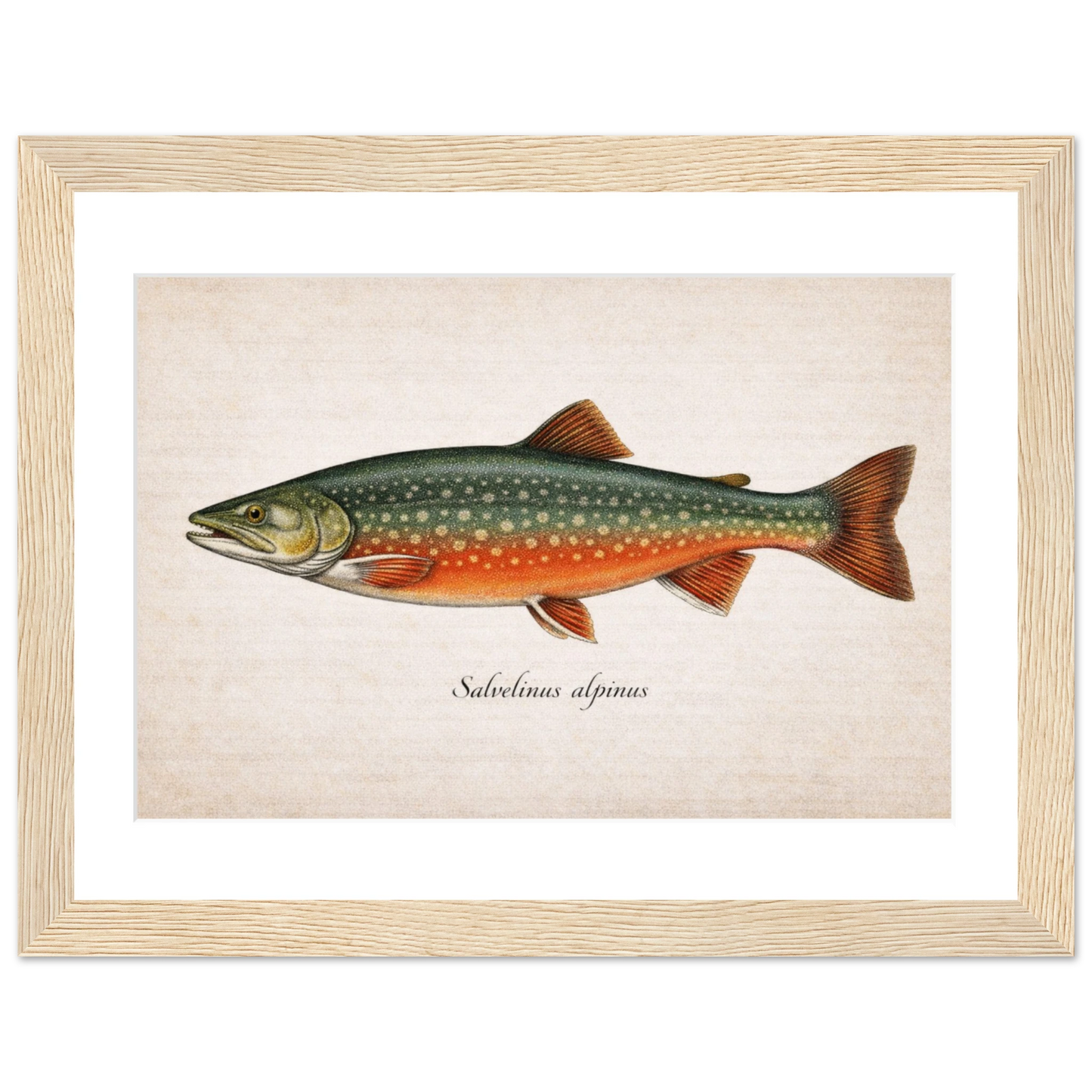 18ad8766-73d9-4d4c-b1a6-a294b12c68e7