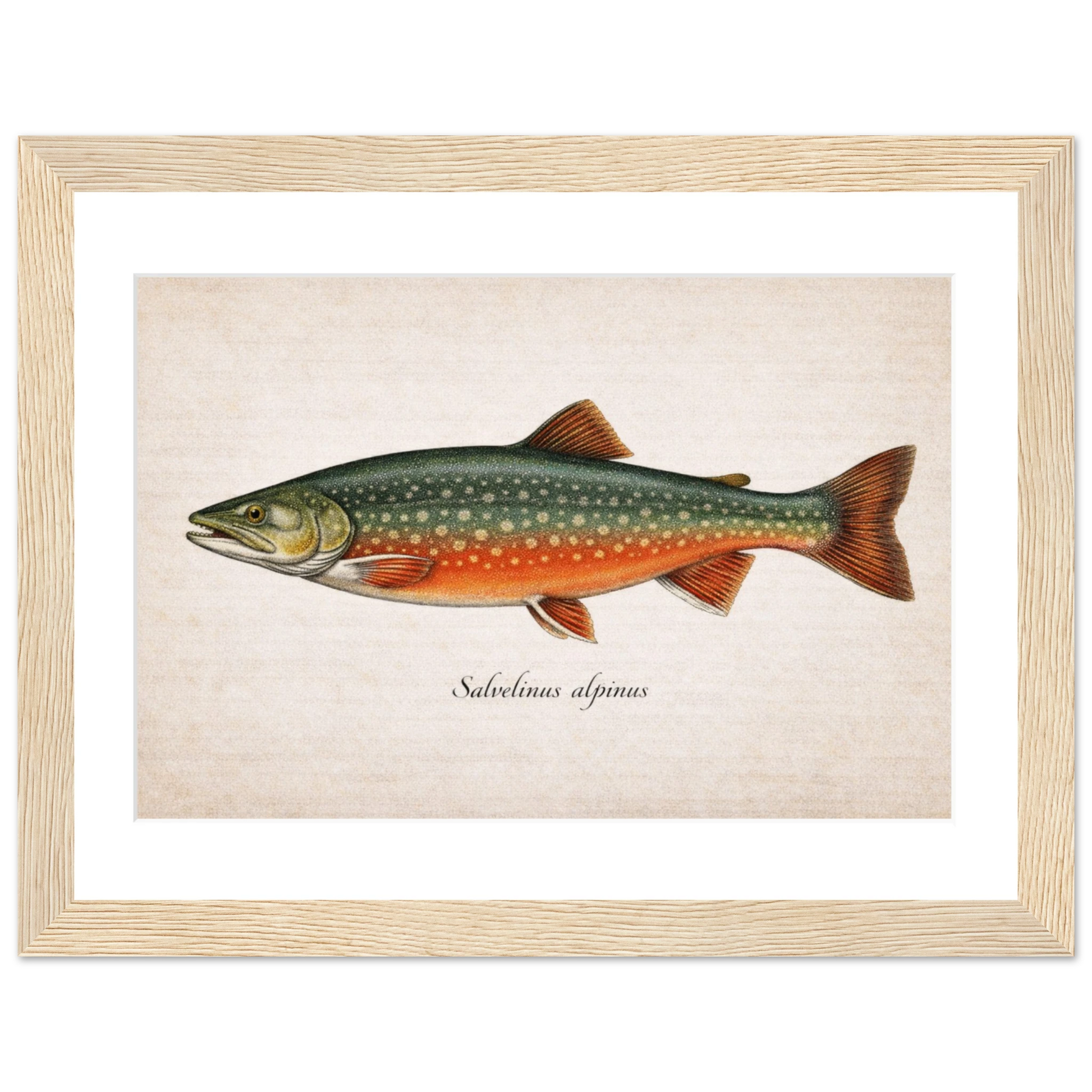 18ad8766-73d9-4d4c-b1a6-a294b12c68e7