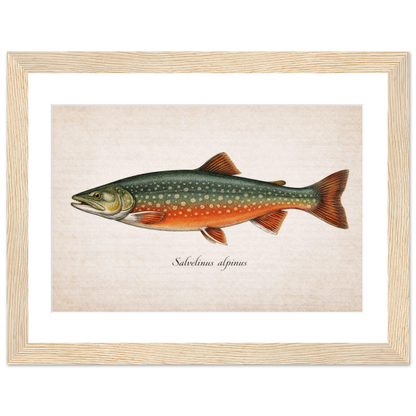 18ad8766-73d9-4d4c-b1a6-a294b12c68e7