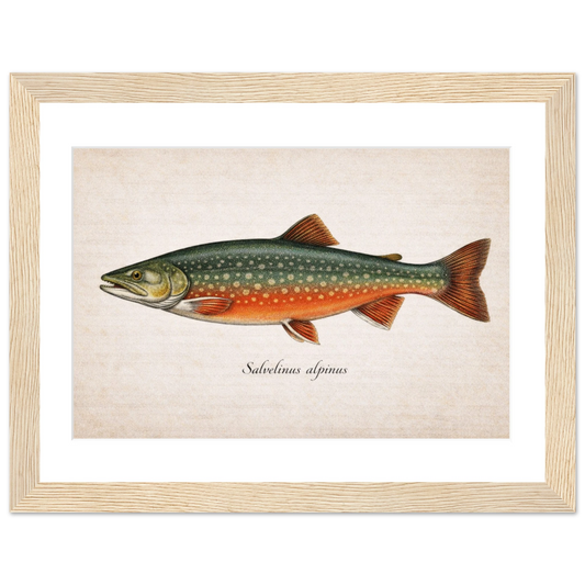 18ad8766-73d9-4d4c-b1a6-a294b12c68e7