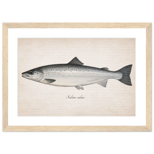 2d615946-da33-480e-88f2-3bb3becbd0a6