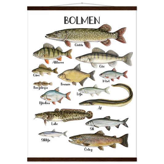 3867ed39-4787-4786-97ae-ee010e06175d