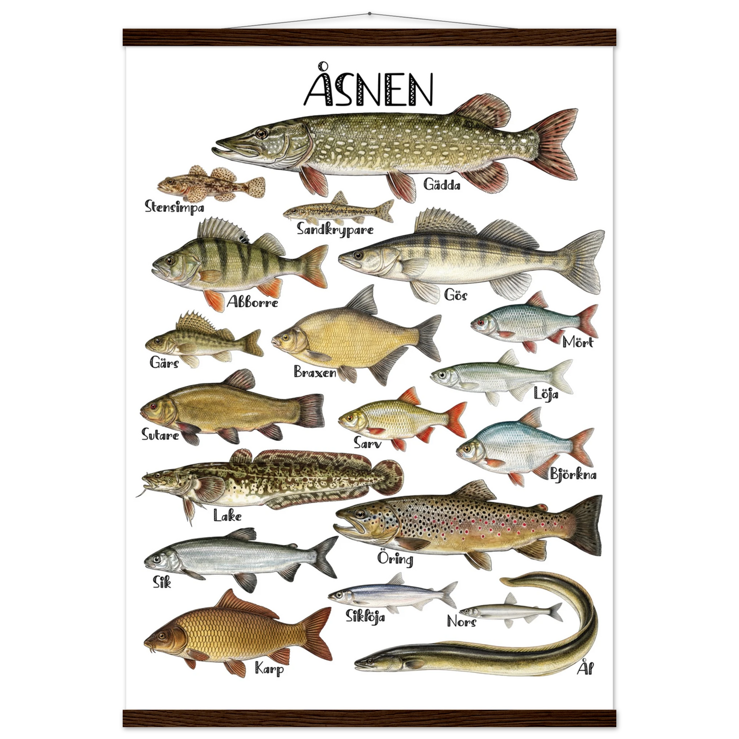 3ba729ba-ae3f-4e5f-a692-094c4e914da1