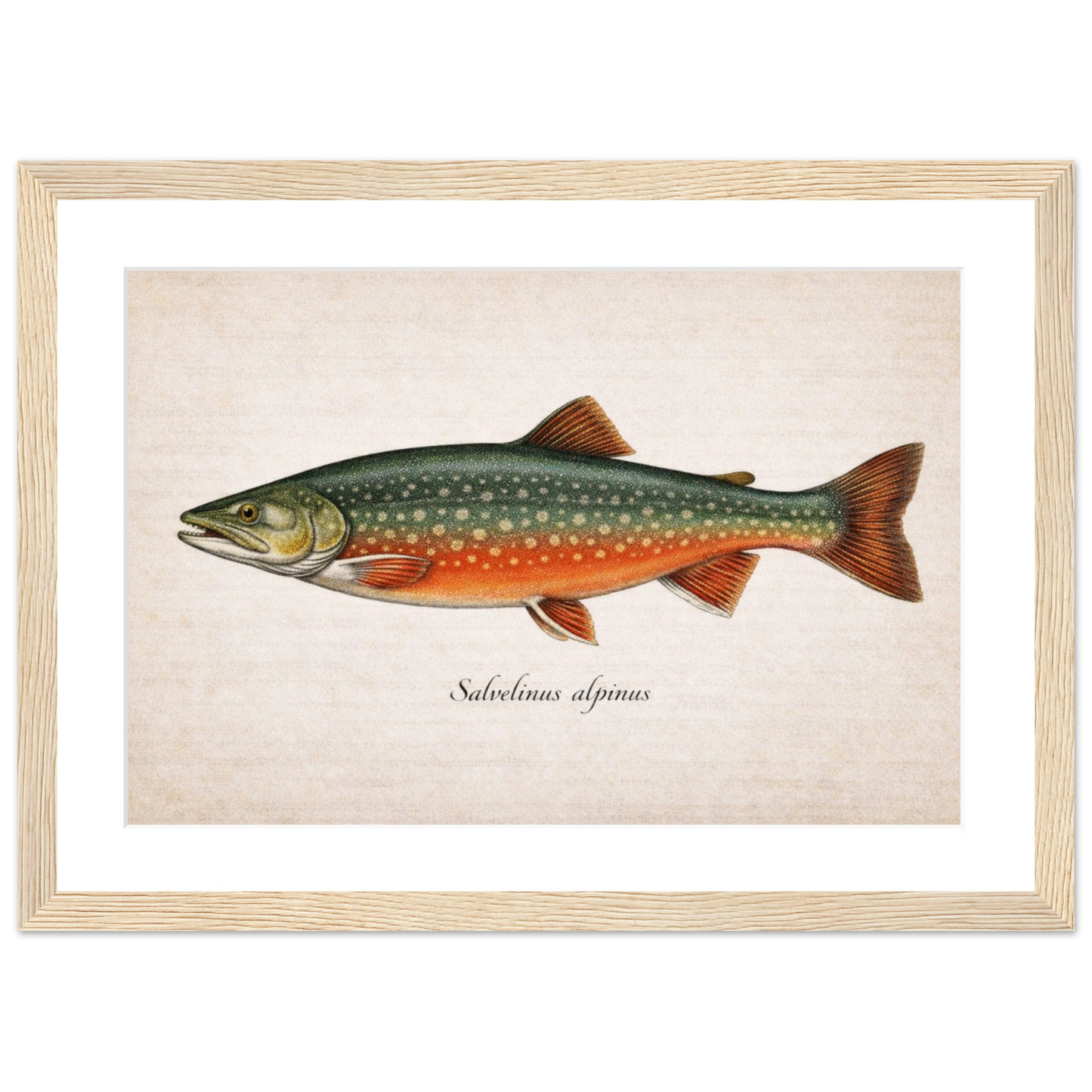 407fd7cd-852b-41ef-8603-aee92556fa04