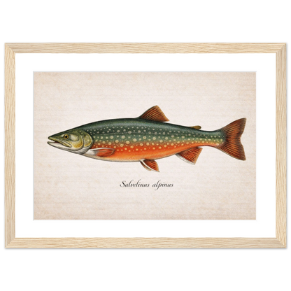 407fd7cd-852b-41ef-8603-aee92556fa04