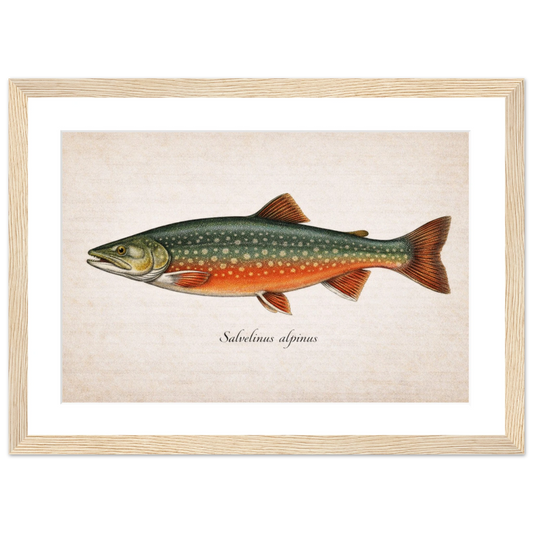 407fd7cd-852b-41ef-8603-aee92556fa04