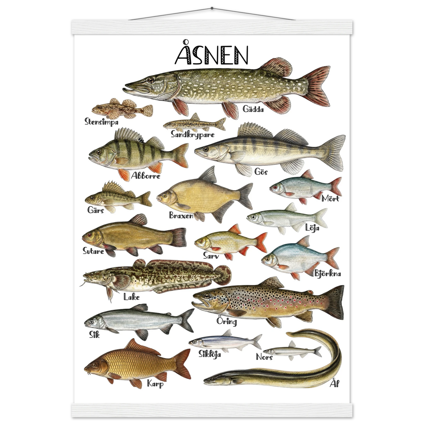 4f10516e-a4cd-4b57-b4b3-08a27a4df0b1