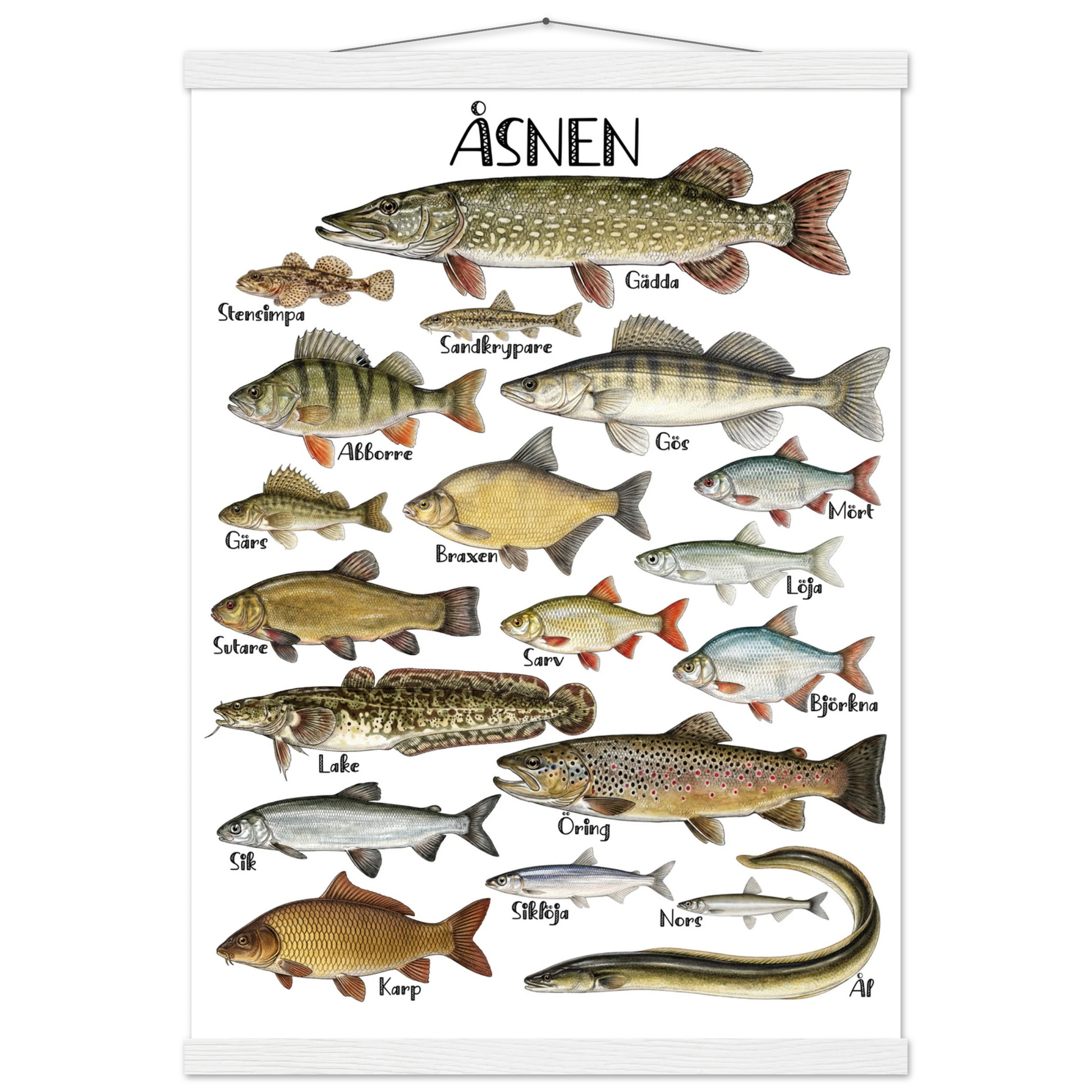 4f10516e-a4cd-4b57-b4b3-08a27a4df0b1