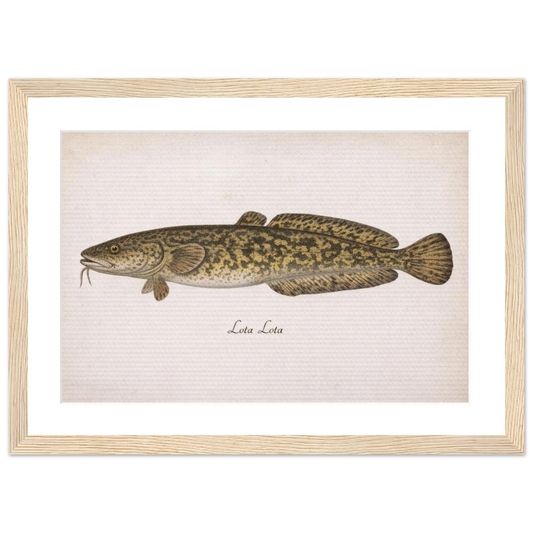 57a1c148-a532-4e45-9f9f-4ec97c434d55