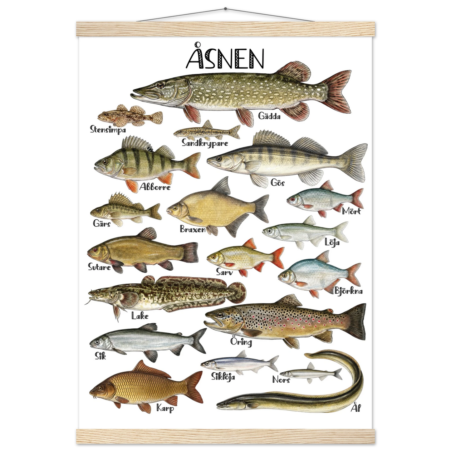 5a23b939-fc90-4816-a4a9-69debed5fbfa