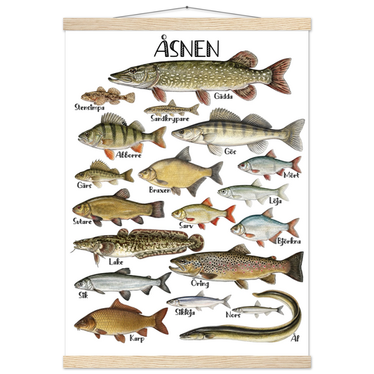 5a23b939-fc90-4816-a4a9-69debed5fbfa