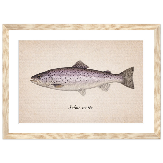 5c3b817e-e639-4aa9-ae64-0b4913427476