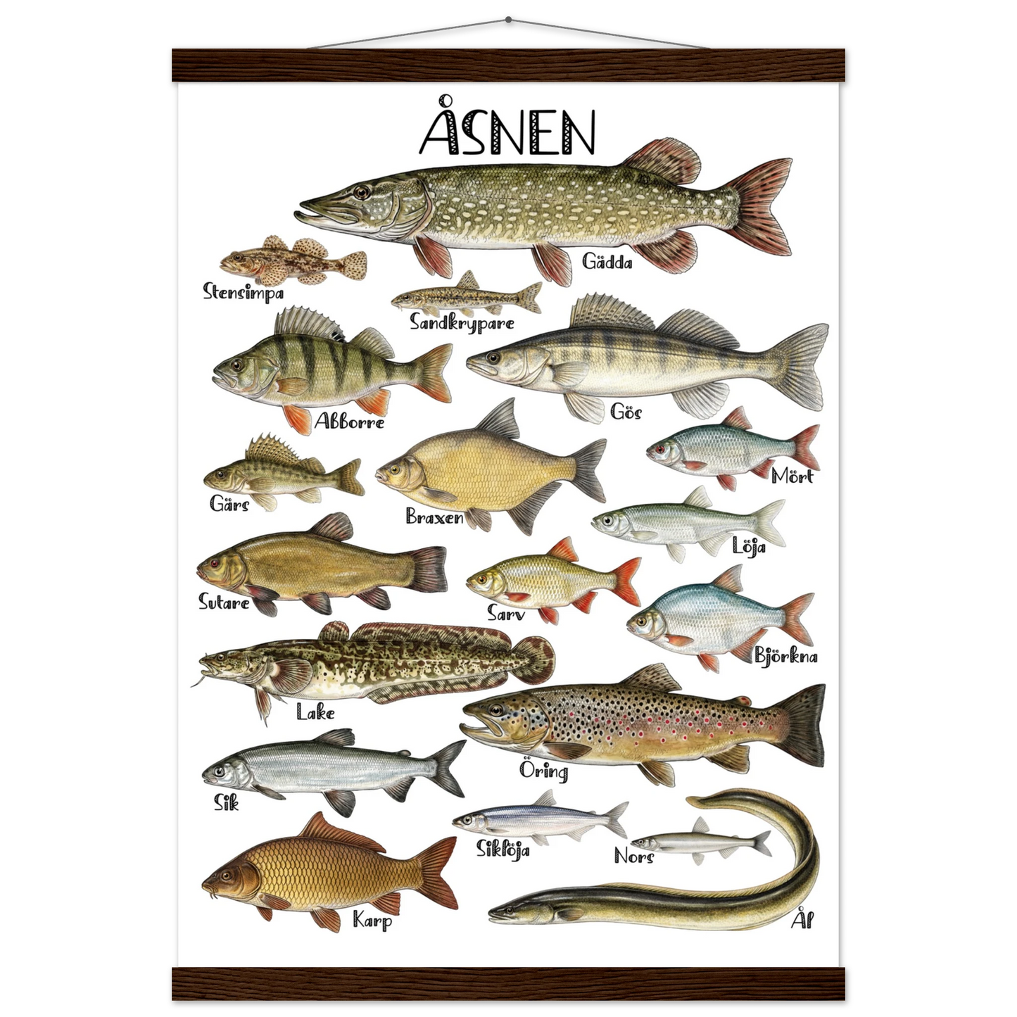 6722a211-2dfa-4397-89a5-a65840145b9f