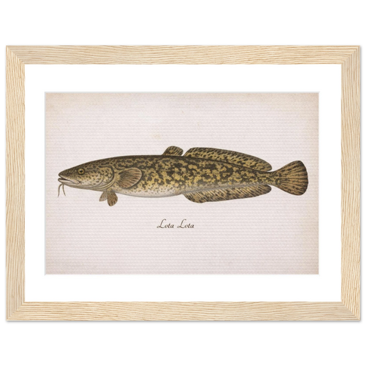 6cc705f3-4f17-4781-8dcf-4103bcb9ac66