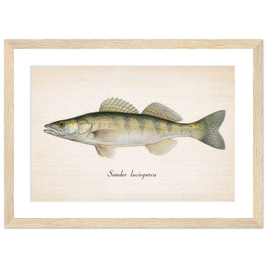 87b6018e-1c5e-4ba1-9778-02b73d1de19d