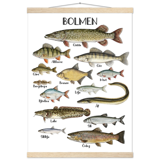 8af4abd7-8d77-47a2-b591-d241d77e4e7b