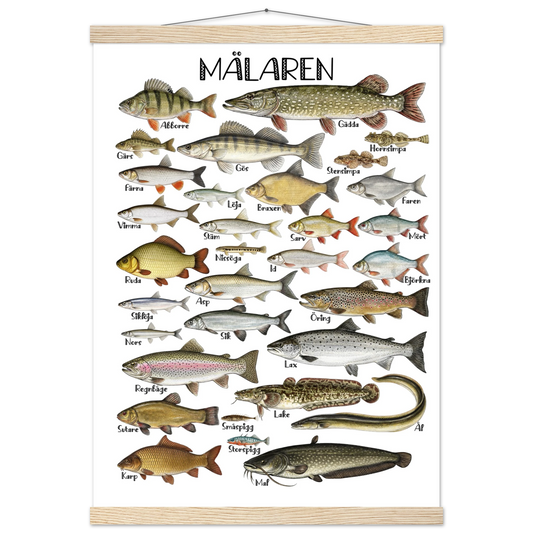 963874e3-567b-4651-ba65-9f4fa5cc2a4b