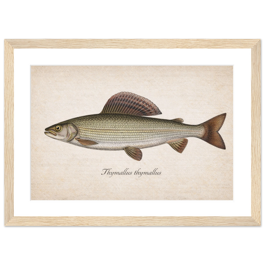 a315385b-aca9-4b91-9ced-6f7cb3f1abcc