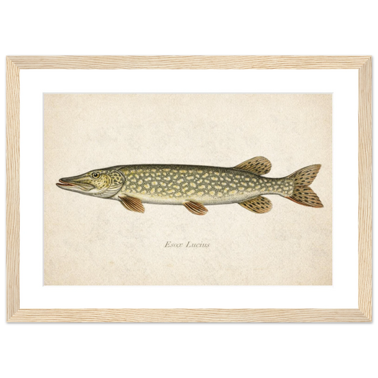 aeb2ccd4-c064-441b-96c6-6eaed70dccf5