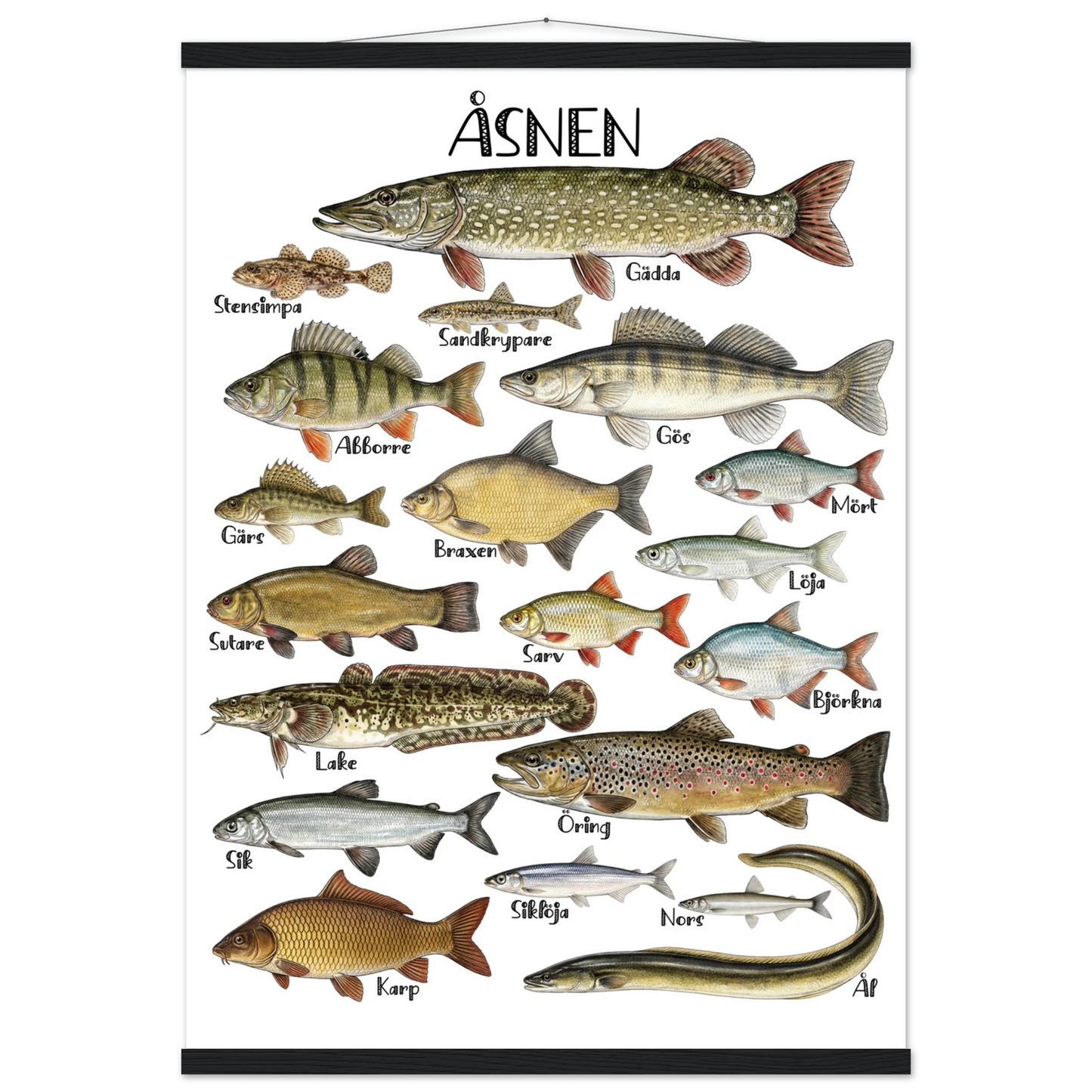 d47b82d7-6df7-49dd-b357-7c07700c845d