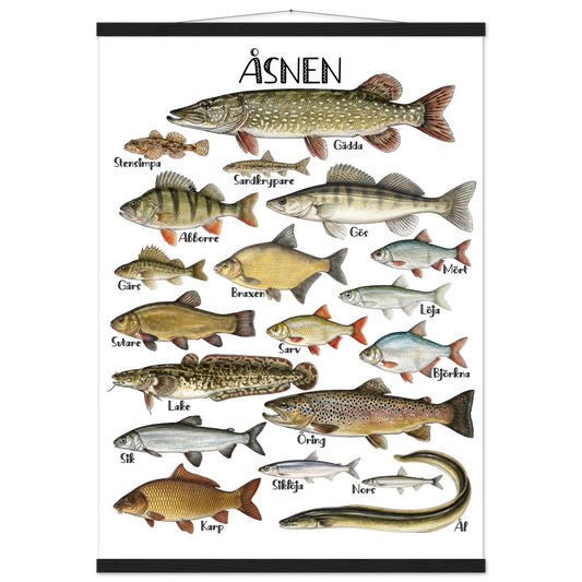 d47b82d7-6df7-49dd-b357-7c07700c845d