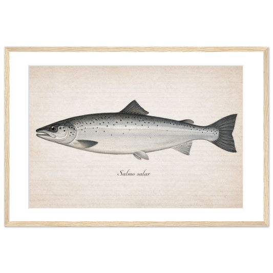 d4feb69d-e4ef-48df-a50d-b4d7a1c495e9