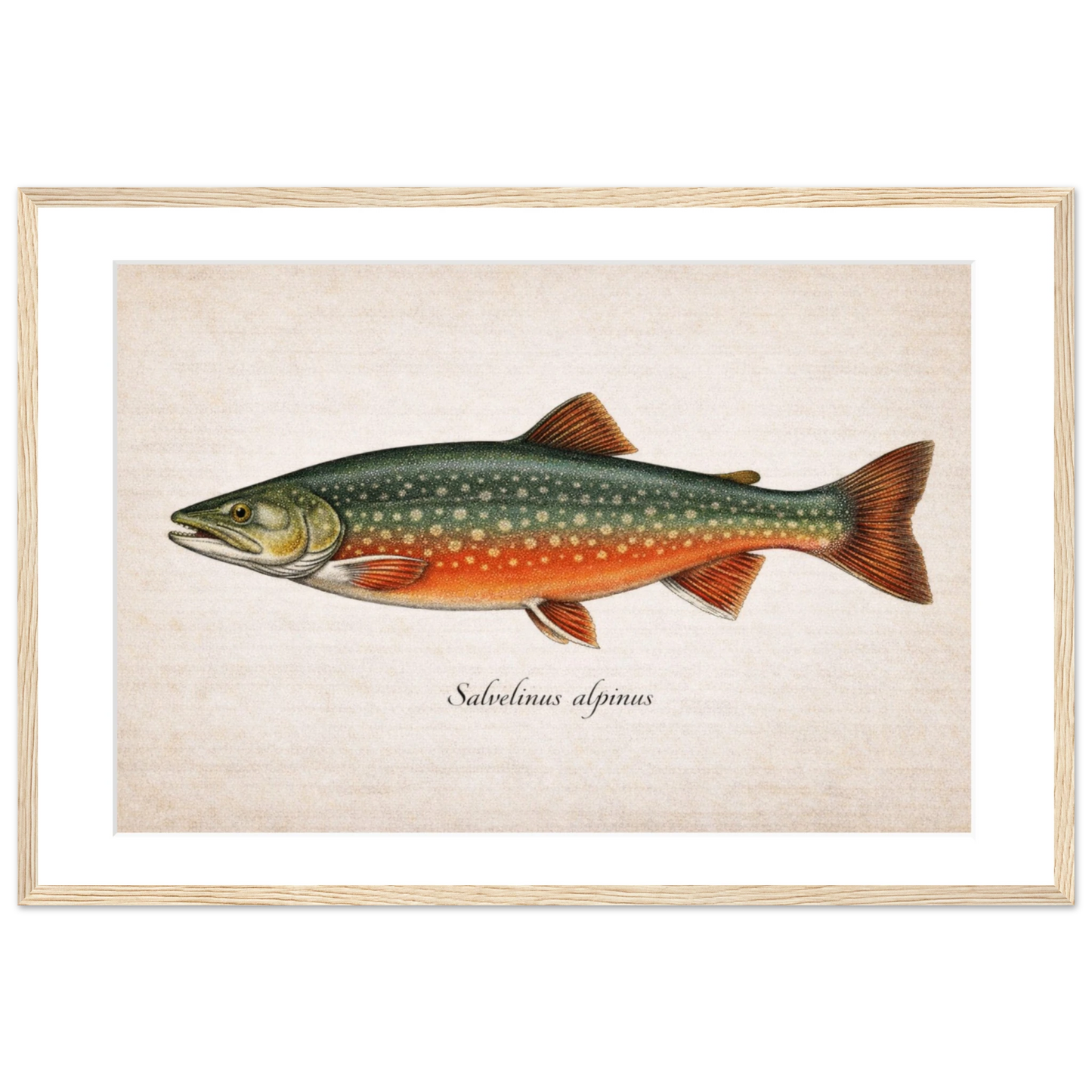 d7573148-21d6-480f-a662-5c86112175d4