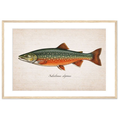 d7573148-21d6-480f-a662-5c86112175d4