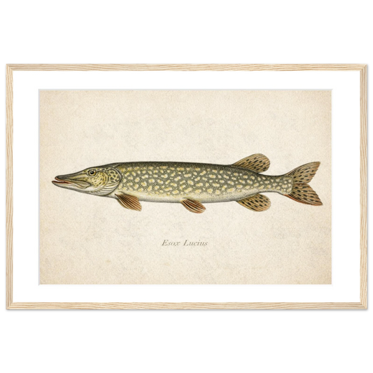 dcb61369-6dbf-497f-875c-c24b4b3a7aae