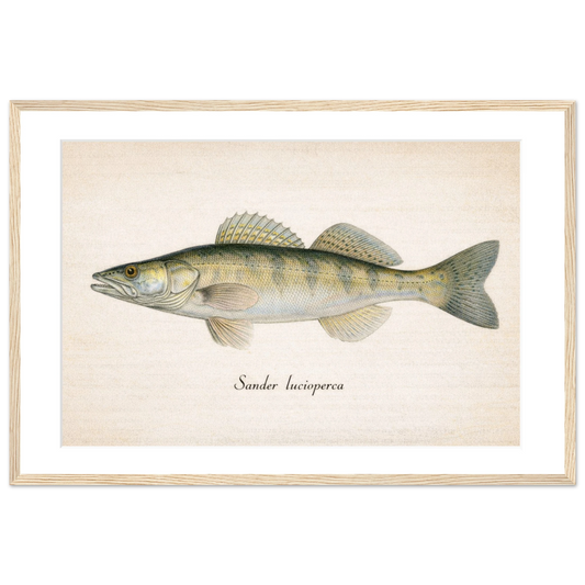 eac181ee-b883-45a0-aa39-50527b1a1325