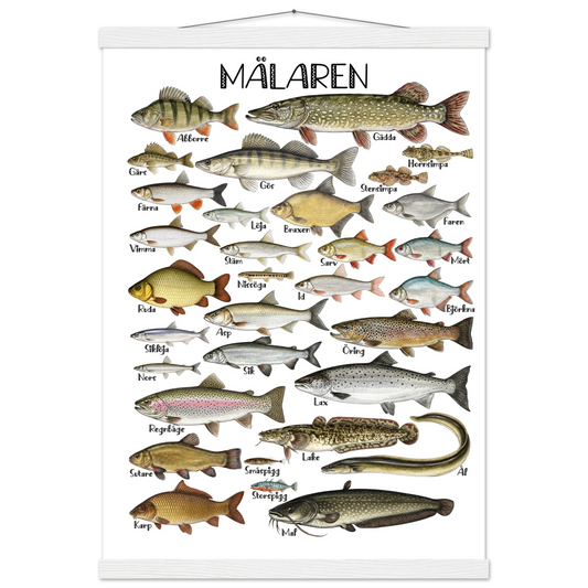 f0fce41a-6ccc-46e2-b5a3-153c70650d61