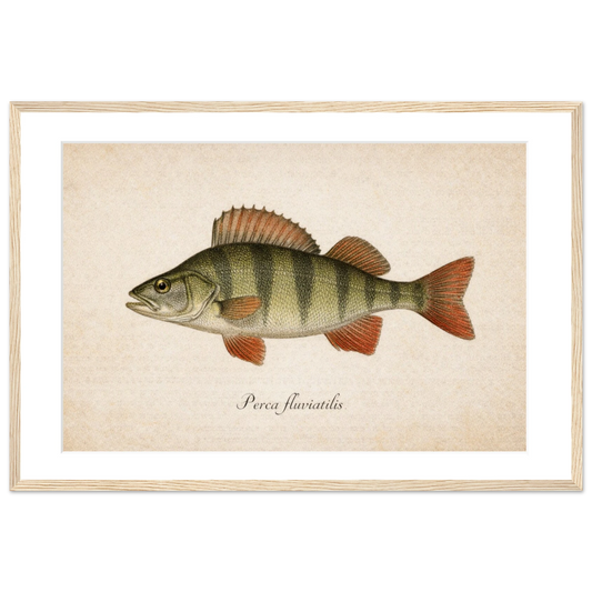 f4d4e1fc-d64e-440a-923b-008f685e2f5b